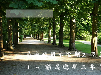平安信用卡逾期2万怎么处理-平安信用卡1w额度逾期三年了