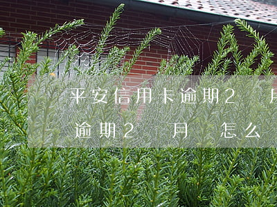 平安信用卡逾期2個月會怎么樣 平安信用卡逾期2個月會怎么樣嗎
