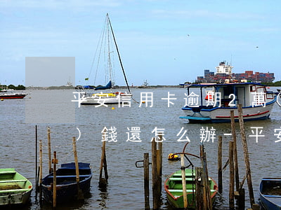 平安信用卡逾期2萬(wàn)沒(méi)錢還怎么辦-平安信用卡逾期2萬(wàn)沒(méi)錢還怎么辦呢