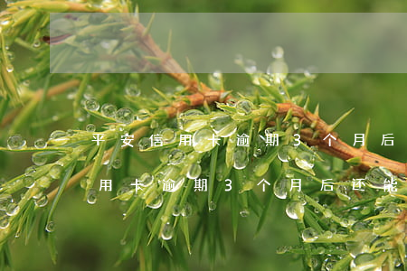 平安信用卡逾期3个月后还能用吗-平安信用卡逾期3个月后还能用吗