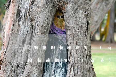 平安信用卡逾期3個(gè)月6-平安信用卡逾期3個(gè)月要起訴我是真的嗎