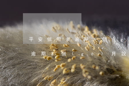 平安信用卡逾期3個(gè)月(平安信用卡逾期3個(gè)月說(shuō)今天3點(diǎn)上門(mén)要收全款)