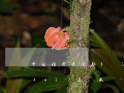 平安信用卡逾期3個(gè)月立案了會(huì)上門抓嗎-平安信用卡6000逾期一年私人短信說立案