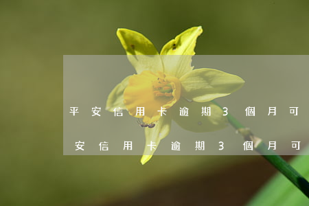 平安信用卡逾期3個月可以協商還款嗎-平安信用卡逾期3個月可以協商還款嗎