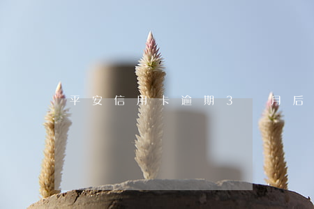 平安信用卡逾期3個月后會起訴嗎