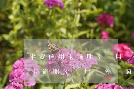 平安信用卡逾期3個月會外訪嘛-平安信用卡逾期3個月會外訪嘛怎么辦
