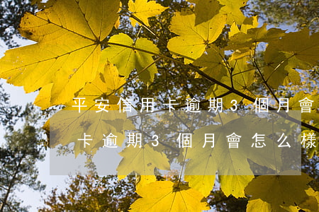 平安信用卡逾期3個月會怎么樣-平安信用卡逾期3個月會怎么樣嗎