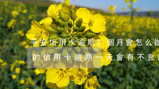平安信用卡逾期3個月會怎么辦呢 平安銀行的信用卡逾期一天會有不良記錄嗎