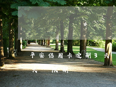 平安信用卡逾期3天會怎么樣(平安信用卡3天寬限期)