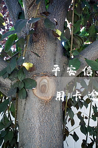 平安信用卡逾期3天算逾期嗎光大-平安信用卡逾期3天算逾期嗎光大金融