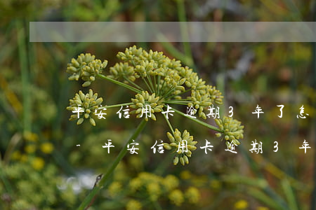 平安信用卡逾期3年了怎么協(xié)商-平安信用卡逾期3年了怎么協(xié)商還款