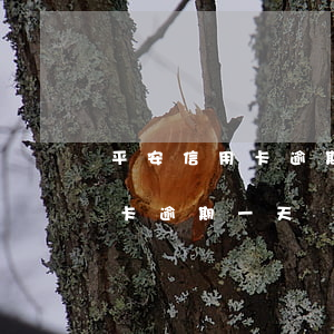 平安信用卡逾期4百多天-平安銀行的信用卡逾期一天會(huì)有不良記錄嗎