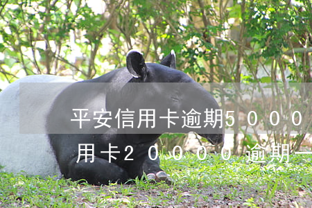 平安信用卡逾期50003個月(平安銀行信用卡20000 逾期一周 利息多少?)