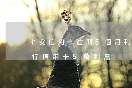 平安信用卡逾期5個月利息怎么算-平安銀行信用卡5萬利息