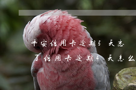 平安信用卡逾期5天忘記還了(不小心忘記還了信用卡逾期4天怎么辦)
