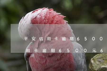 平安信用卡逾期6500元6個月-平安信用卡逾期6500元6個月利息多少