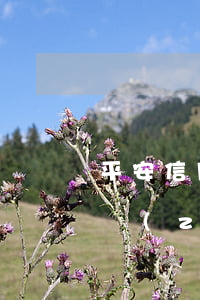 平安信用卡逾期8天還沒(平安信用卡逾期多長(zhǎng)時(shí)間不還銀行起訴你)