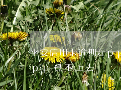 平安信用卡逾期app登不上去(平安銀行app登不上去)