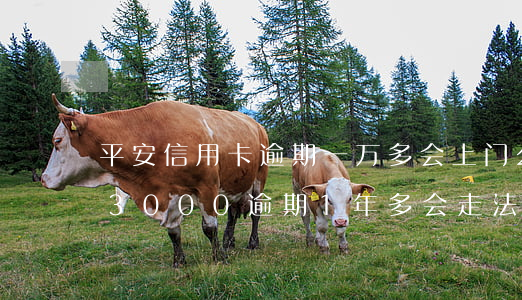 平安信用卡逾期一万多会上门么(平安信用卡3000逾期1年多会走法律程序吗)