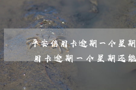 平安信用卡逾期一个星期还能还吗-平安信用卡逾期一个星期还能还吗知乎