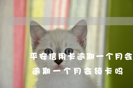 平安信用卡逾期一个月会锁卡吗(平安信用卡逾期一个月会锁卡吗)