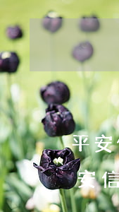 平安信用卡逾期一个月还进去还能用吗-平安信用卡逾期一个月还进去还能用吗