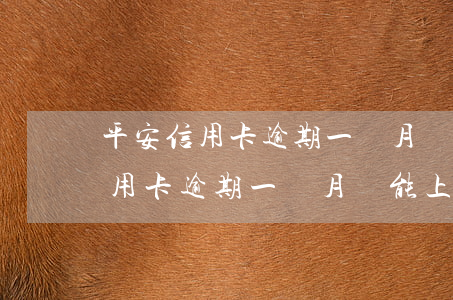 平安信用卡逾期一個月還能上門嗎-平安信用卡逾期一個月還能上門嗎怎么辦