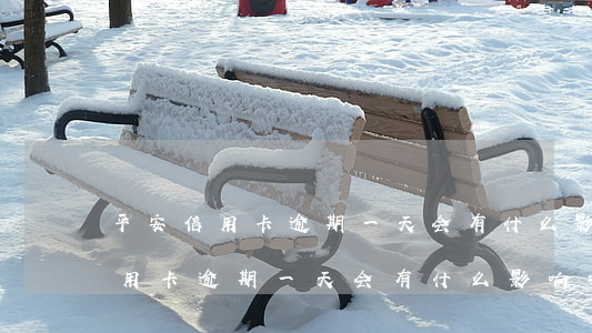 平安信用卡逾期一天会有什么影响-平安信用卡逾期一天会有什么影响吗
