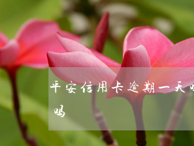 平安信用卡逾期一天吗(平安信用卡逾期一天吗)