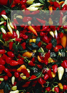 平安信用卡 逾期一天（平安信用卡逾期3个月会外访嘛）