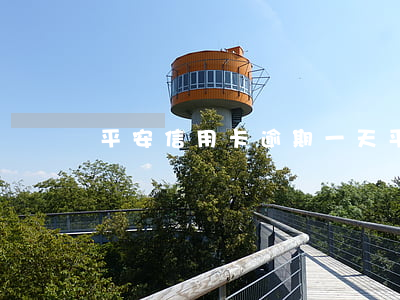 平安信用卡 逾期一天（平安信用卡逾期無力償還）