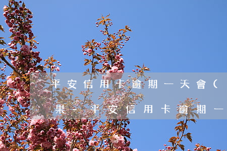 平安信用卡逾期一天會(huì)有什么后果-平安信用卡逾期一天會(huì)有什么后果嗎
