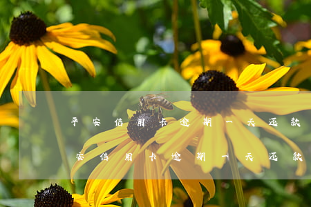 平安信用卡逾期一天还款了还可以用不-平安信用卡逾期一天还款了还可以用不