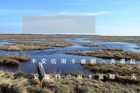平安信用卡逾期一天還款征信有沒有影響 平安銀行信用卡 逾期一天有沒有影響?