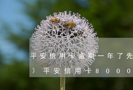 平安信用卡逾期一年了先還一點(diǎn) 平安信用卡8000逾期2年了