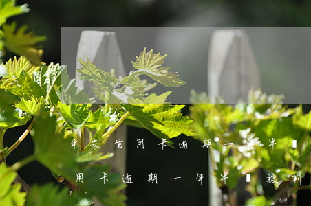 平安信用卡逾期一年半會被判刑嗎-平安信用卡逾期一年半會被判刑嗎知乎