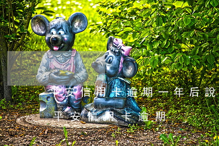 平安信用卡逾期一年后說可以減免一部分-平安信用卡 逾期