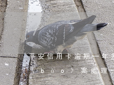 平安信用卡逾期一年多,發(fā)短信要報(bào)案處理-平安信用卡6000逾期一年私人短信說(shuō)立案