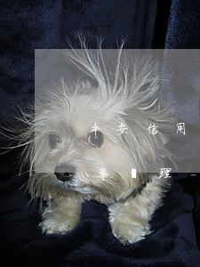 平安信用卡逾期一年多，發(fā)短信要報案處理-平安信用卡6000逾期一年私人短信說立案