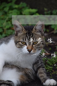 平安信用卡逾期一次性減免 平安信用卡逾期一次性減免