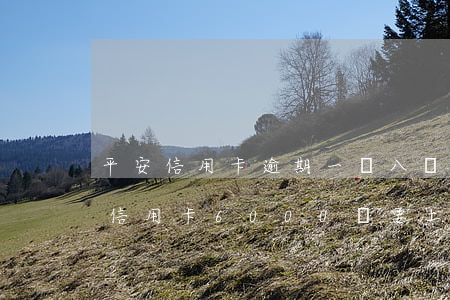 平安信用卡逾期一萬八說要去法院-欠平安信用卡6000說要上門強制執(zhí)行