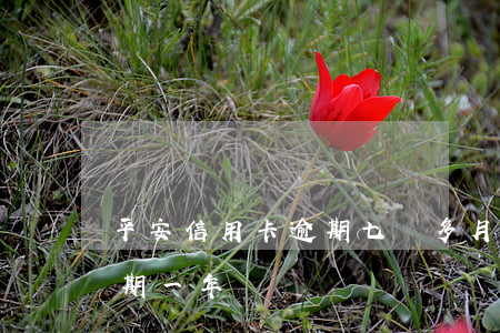 平安信用卡逾期七個多月(平安信用卡兩萬逾期一年)