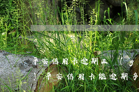 平安信用卡逾期三個(gè)小時(shí)(平安信用卡能逾期多長(zhǎng)時(shí)間?)
