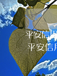 平安信用卡逾期三個(gè)月了還能用嗎(平安信用卡3千逾期半年)