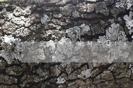 平安信用卡逾期三個(gè)月有什么后果