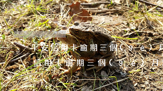 平安信用卡逾期三個(gè)月還不起(平安信用卡逾期三個(gè)月還不起)