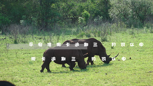 平安信用卡逾期三個月可以申請嗎-平安信用卡逾期三個月可以申請嗎