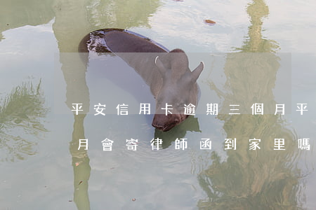 平安信用卡逾期三個月(平安信用卡逾期三個月會寄律師函到家里嗎)