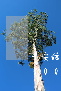 平安信用卡逾期三個月會怎樣(平安信用卡3000逾期1年多會走法律程序嗎)