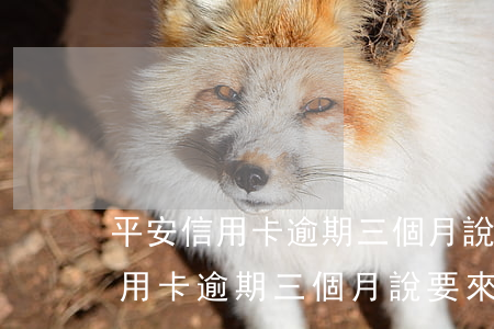 平安信用卡逾期三個月說要來家里-平安信用卡逾期三個月說要來家里怎么辦